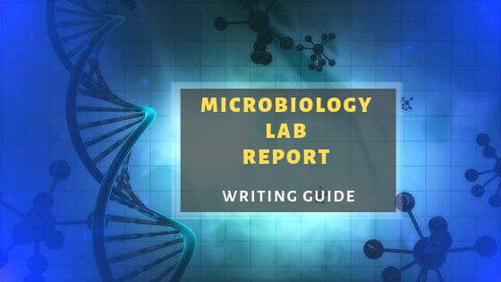 Microbiology Lab Report.png