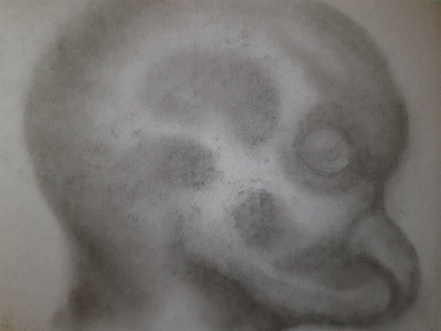 20250426_104611.jpg