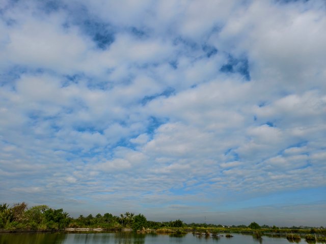 IMG_20250331_081622_1.jpg