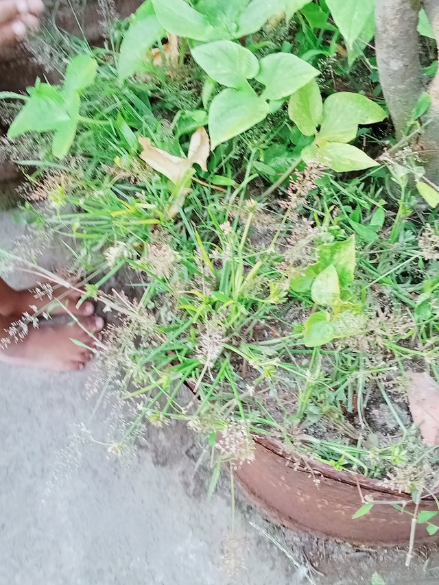 IMG20250605175645.jpg