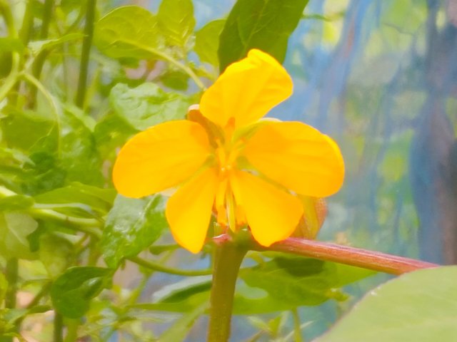 IMG_20230619_095653.jpg