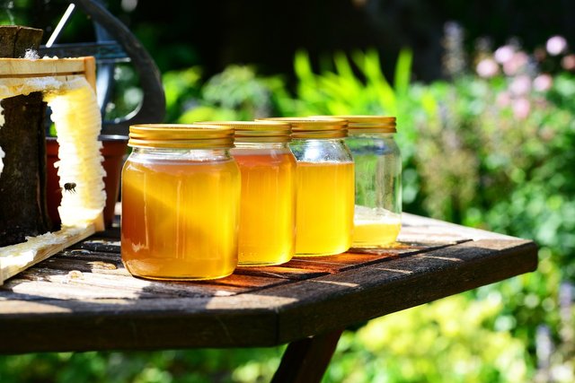 honey-production.jpg