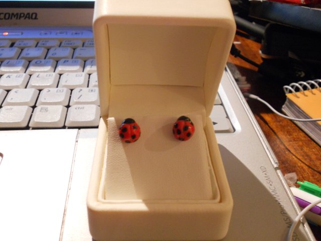 ladybirds_by_princess_melon_head_d2znj5m.jpg