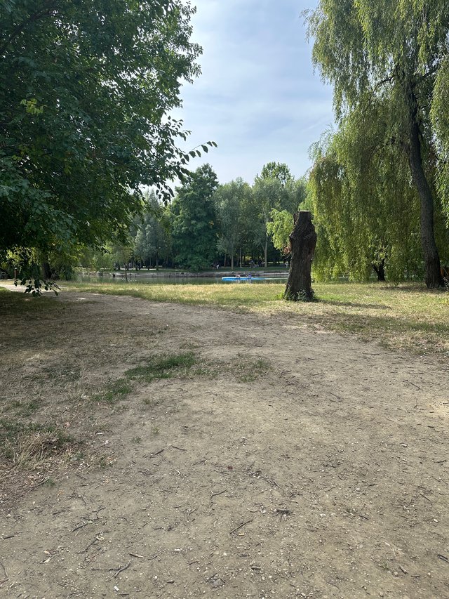 IMG_7378.jpeg