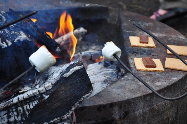 Fire Smores.JPG