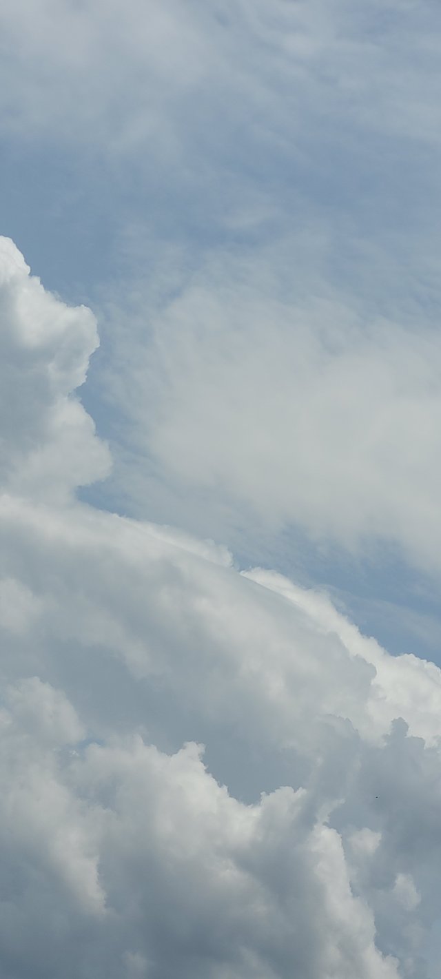 17441963926281013165098202198068.jpg