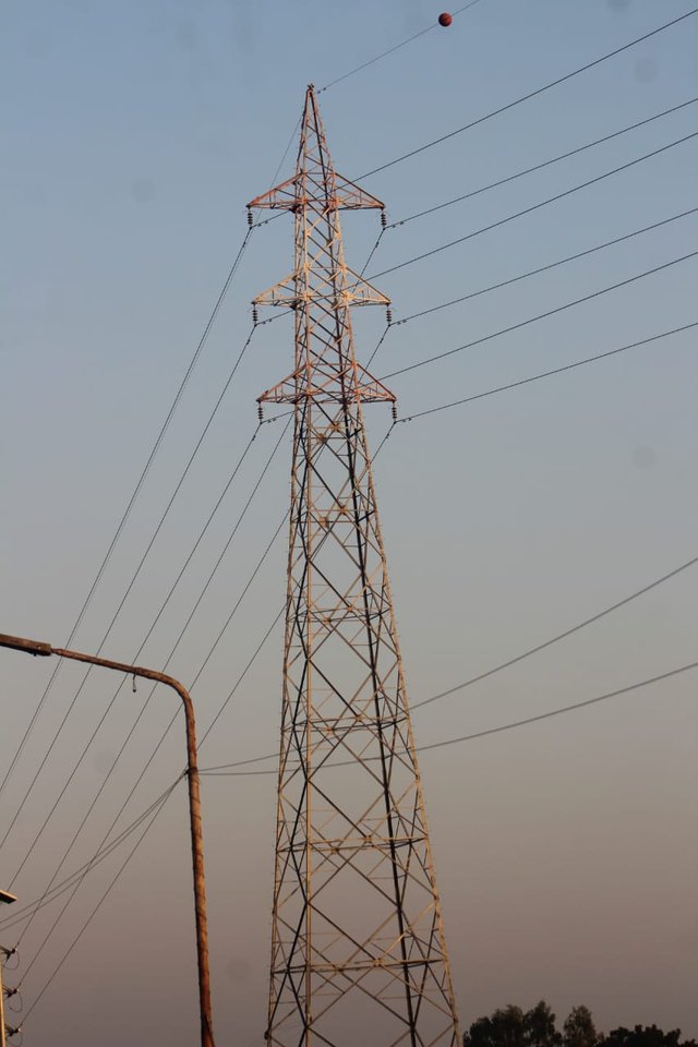 1000044244.jpg