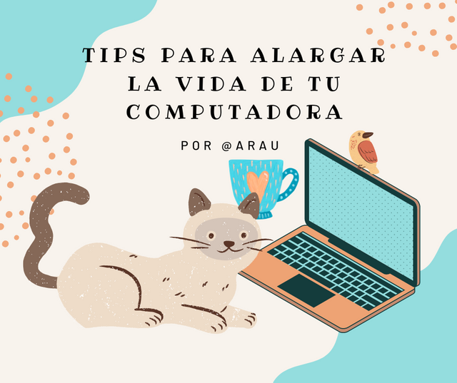 gato con computadora - tips.png