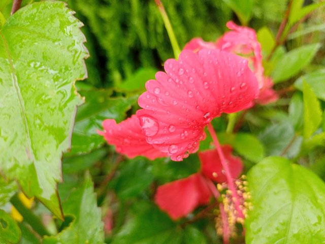 IMG20250724100407.jpg
