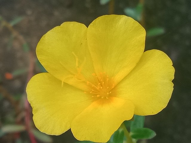 IMG20241021103618.jpg