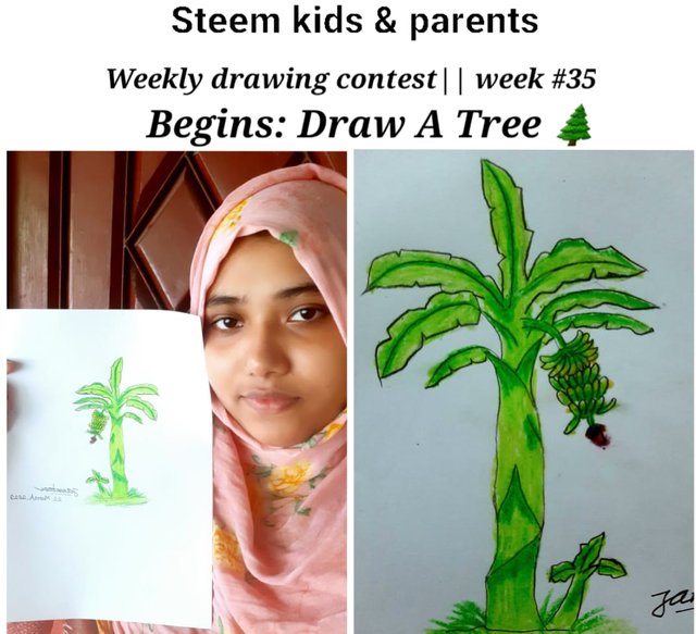 How to draw Colour Pencil Banana tree step by step ||very easy|| - YouTube-saigonsouth.com.vn