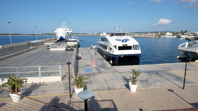 Seguridad Savina 0156.JPG