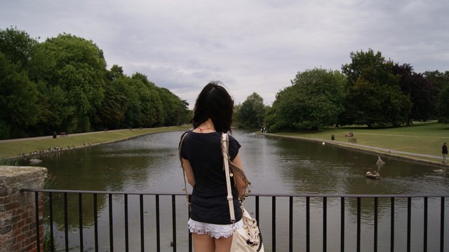 DSC04152.JPG.jpg