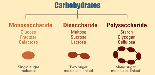 types-of-carbohydrates.png