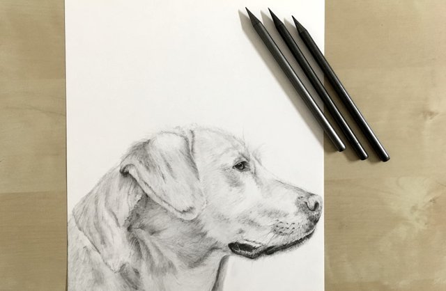 Realistic Pencil Drawing Gallery & Tutorials - Ran Art Blog