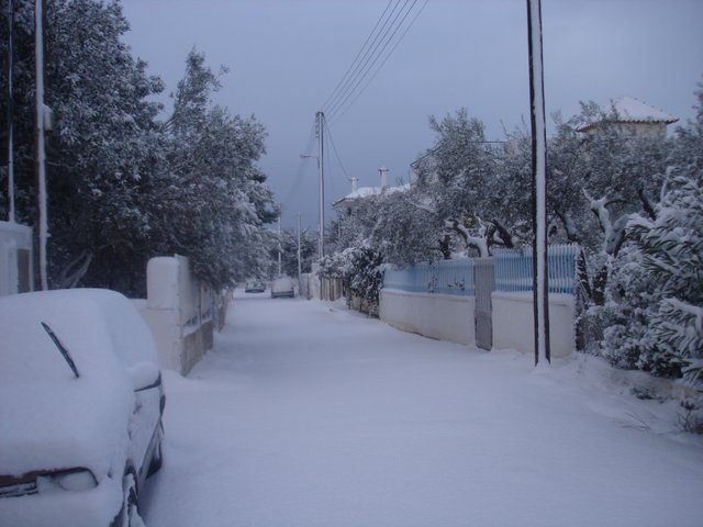 DSC05861.JPG