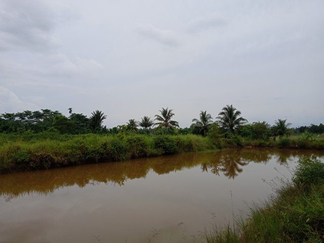 IMG20220719130945.jpg