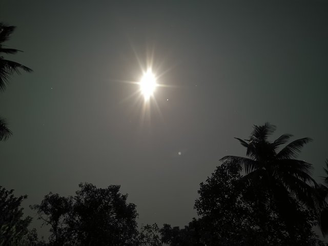 IMG_20241214_211551.jpg