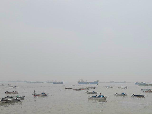 1000113013.jpg