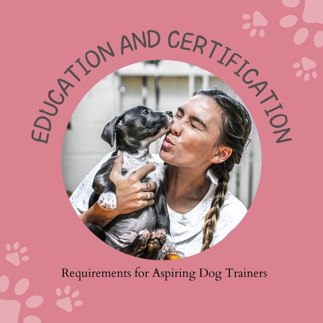 Education and Certification Requirements for Aspiring Dog Trainers.jpg
