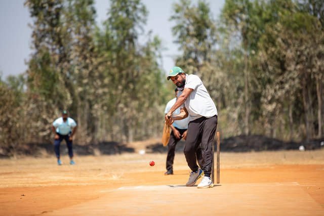 cricket-7874029_1280.jpg