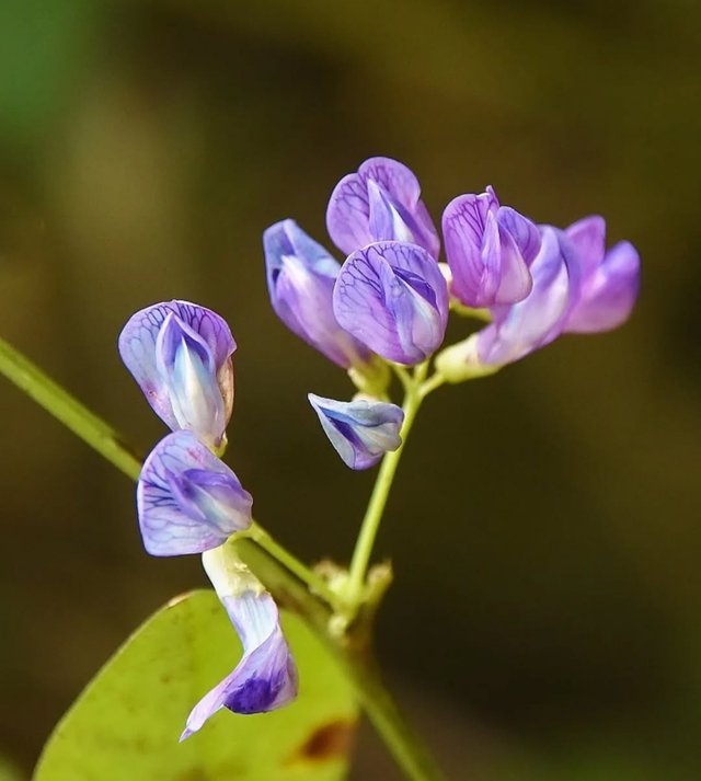 IMG_20251019_203441.jpg
