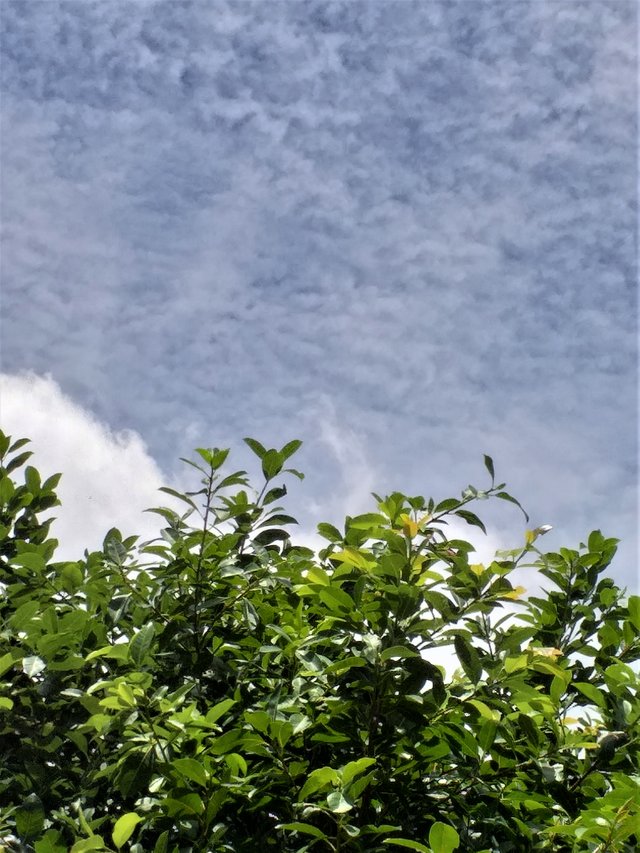 clouds54.jpg