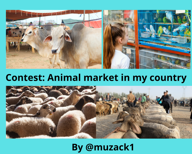 Add titleAdd title Contest Animal market in my country.png
