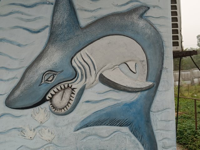 IMG20250103115047.jpg