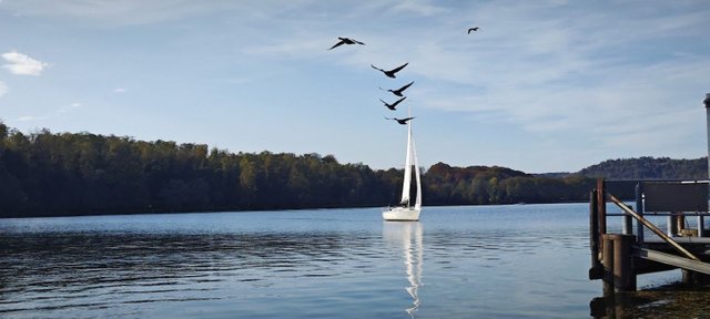 Baldeneysee3.jpg