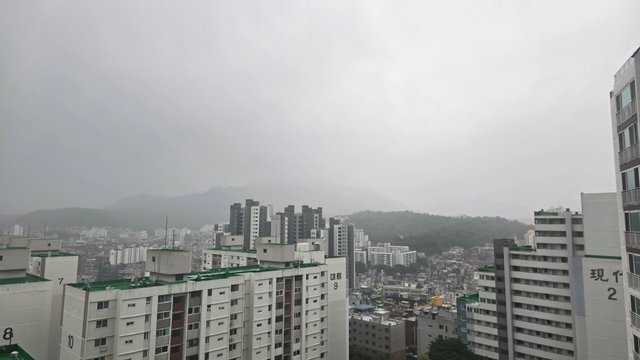 1000127759.jpg