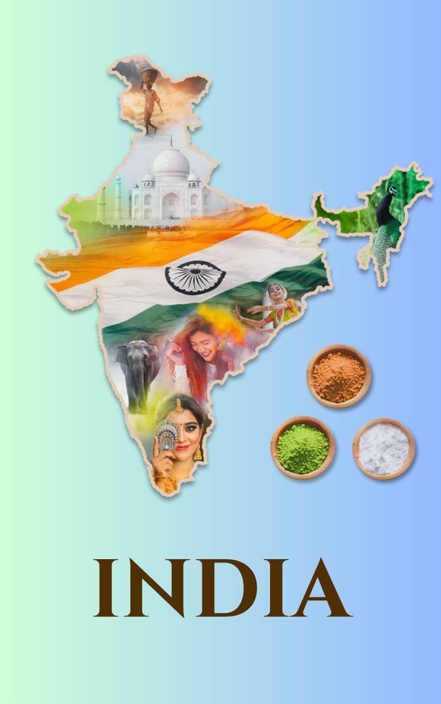 Colorful India Book Cover.jpg