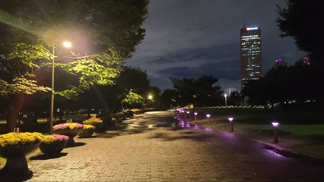 IMAGE 2025-10-25 05:37:01.jpg