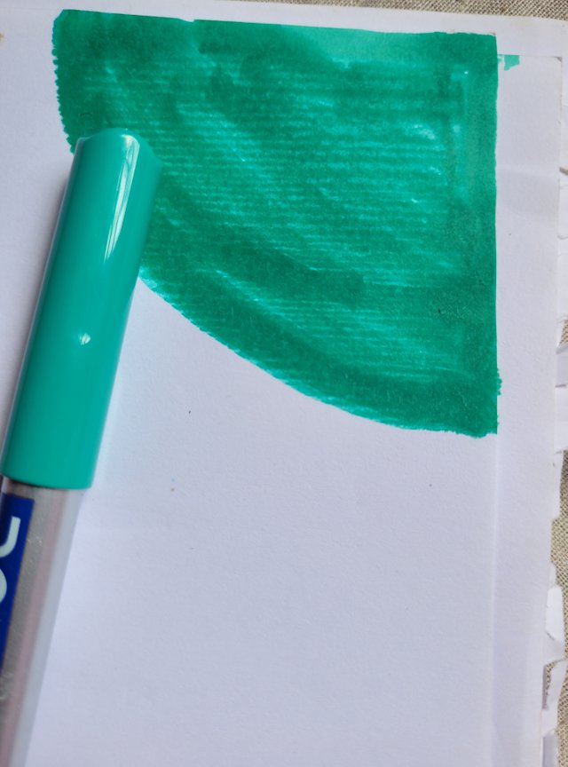 20250724_134521.jpg