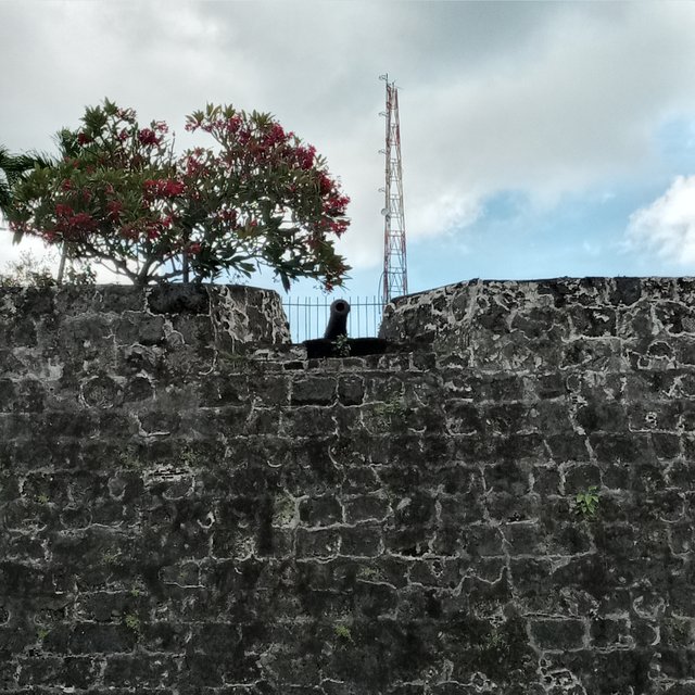 20250409_093425.jpg