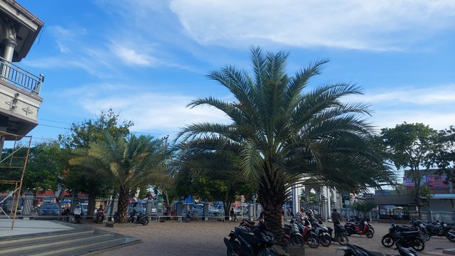 20250302_164947.jpg