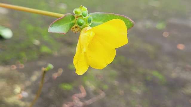 IMG-20250705-WA0021.jpg