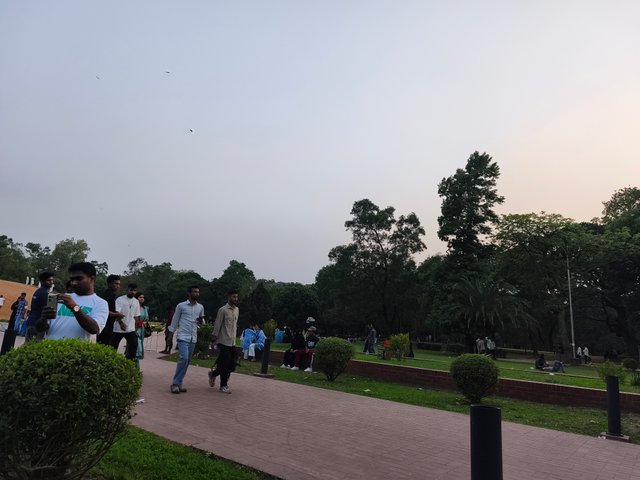 IMG_20250426_180831.jpg