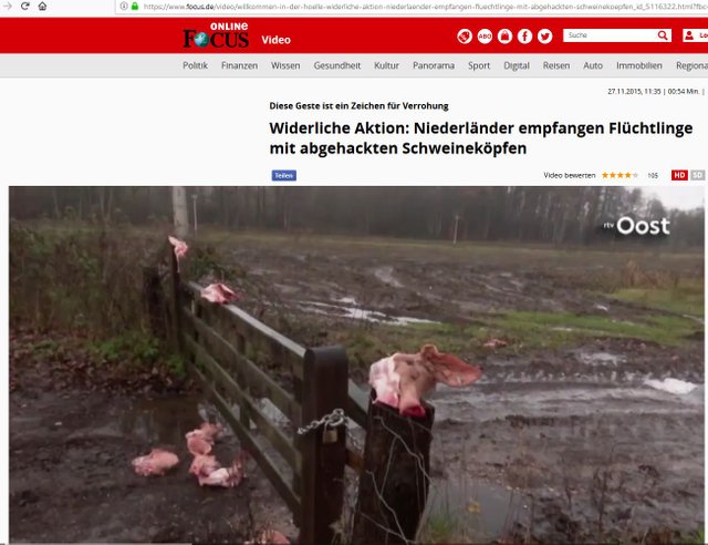 Schweineköpfe.JPG