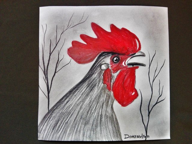 rooster(253).jpg