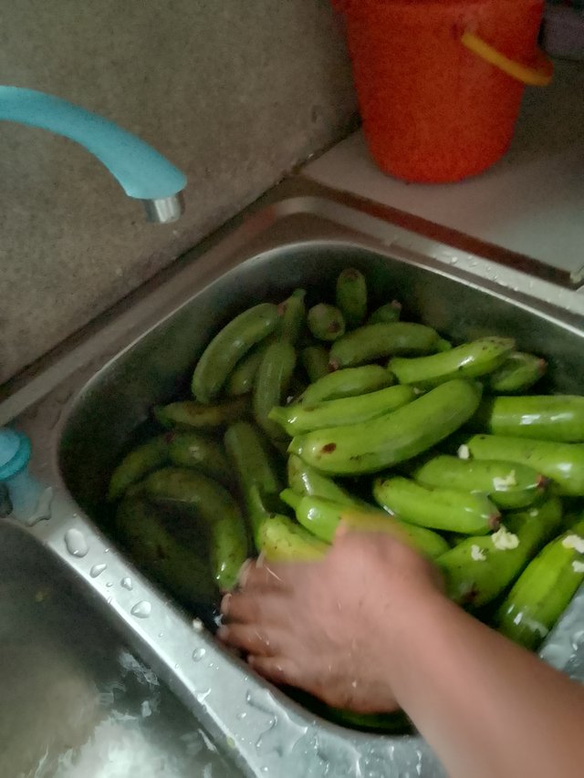 IMG_20241229_081330_053.jpg