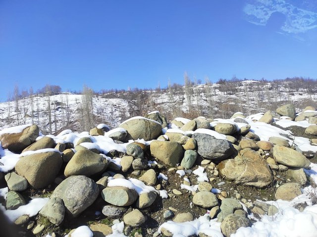 25D65EFB-0D3B-415B-97B5-D877C6A13D19.jpeg