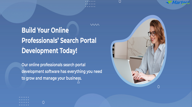 Online Professionals Search Portal Development.png