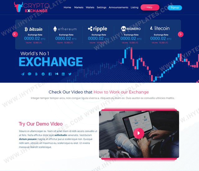 crypto exchange template (1).jpg