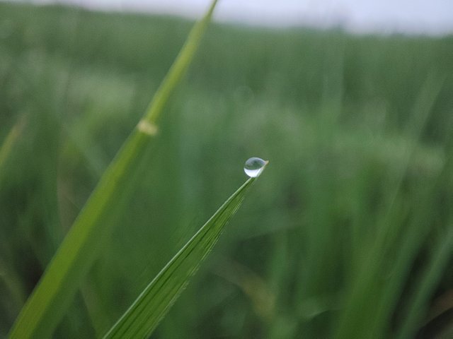 IMG_20250801_181830.jpg