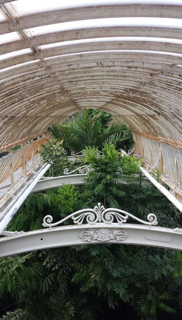 palms under roof.jpg