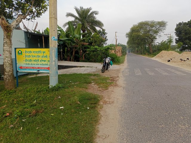 IMG20250910060907.jpg
