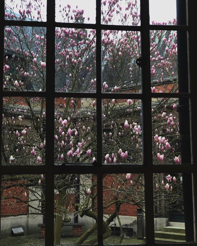 Spring window.JPG