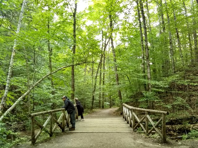 Gatineau Hike 23.jpg