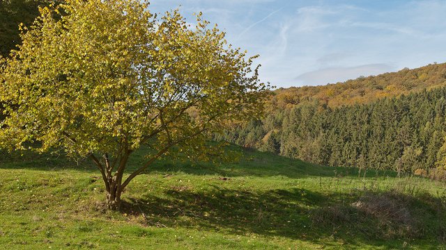 10437117065-autumn-in-thuringia-eichsfeld-rusteberg (FILEminimizer).jpg